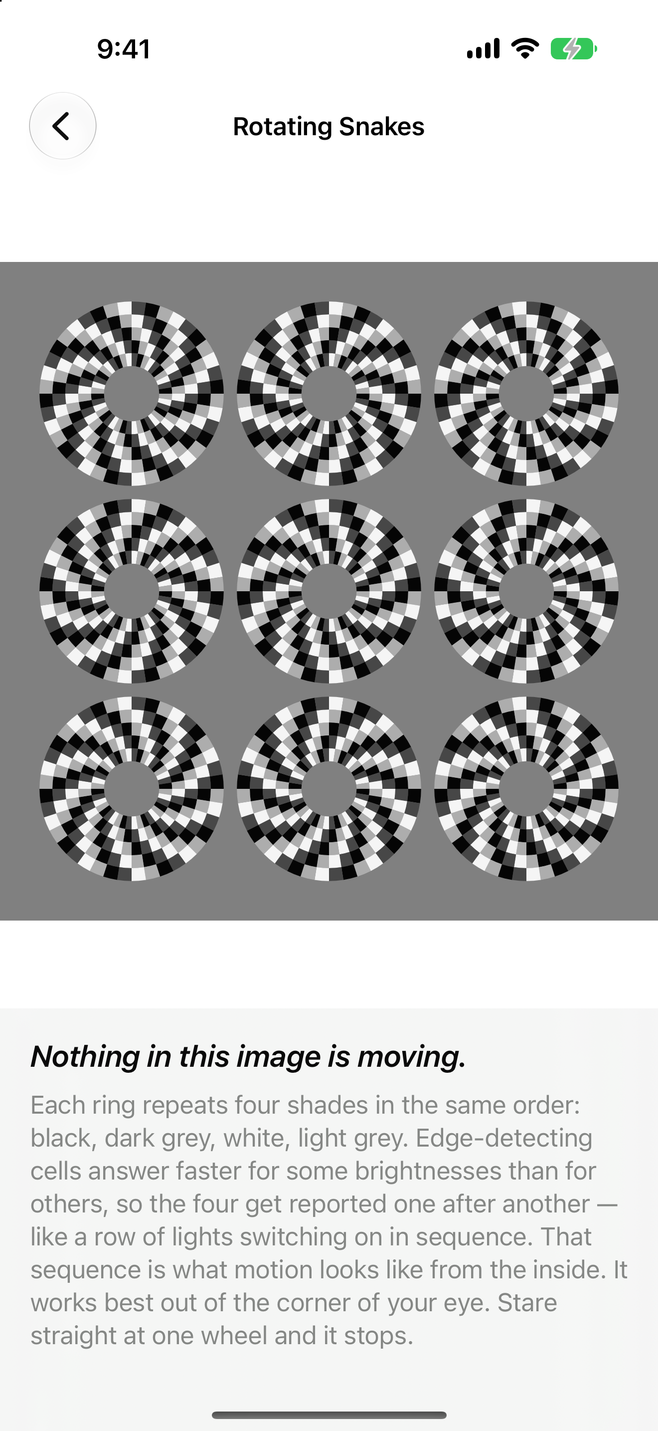 Optic Illusion on iPhone: Rotating Snakes, nine static wheels of black, dark grey, white and light grey segments on a grey field that appear to drift although nothing is moving, with the teaser and explanation below.