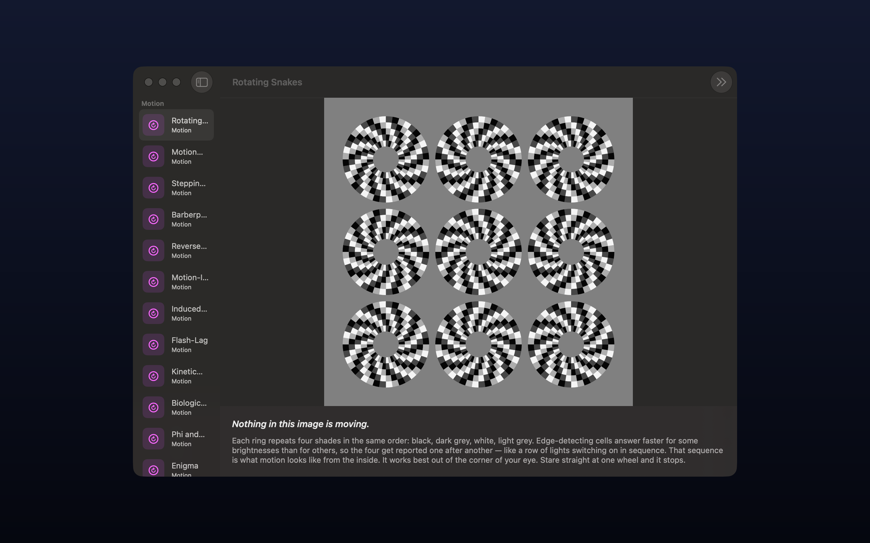 Optic Illusion on macOS: Rotating Snakes, nine static wheels of black, dark grey, white and light grey segments on a grey field that appear to drift although nothing is moving, the exhibit list in the sidebar and the explanation beneath.